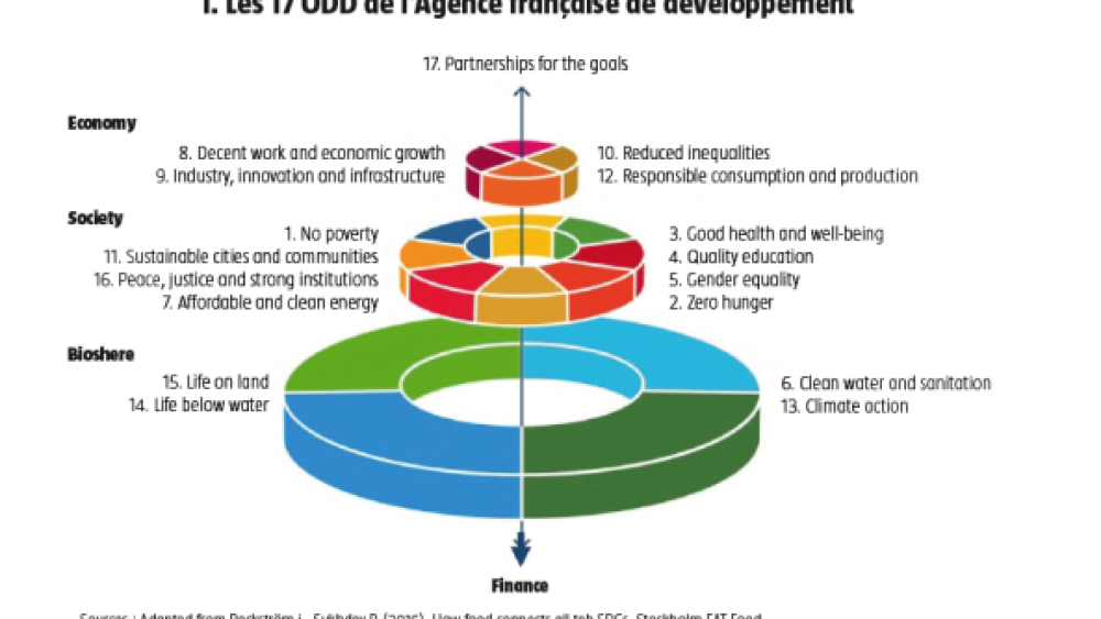 ODD et finance : Le business plan d’une relance verte et inclusive