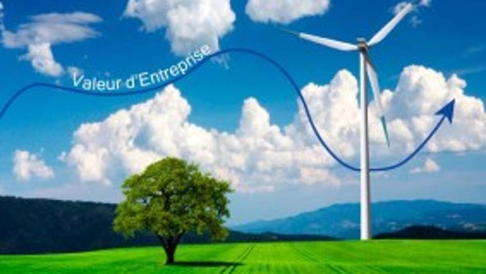 L’impact des politiques environnementales sur la valeur d’entreprise