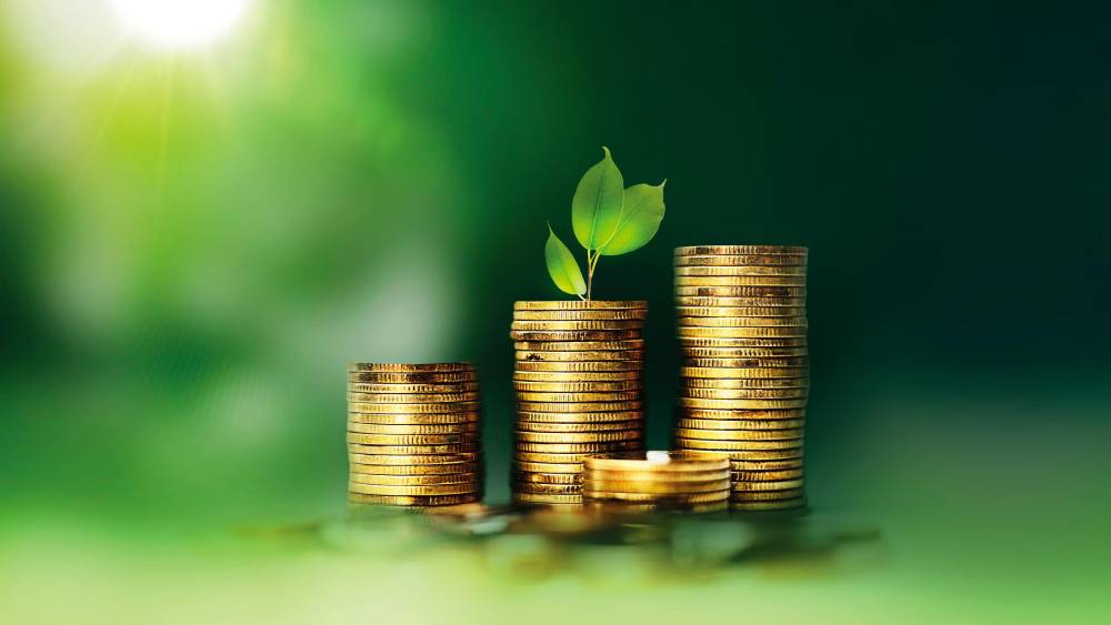 Les intermédiaires financiers publics, acteurs de la transition écologique