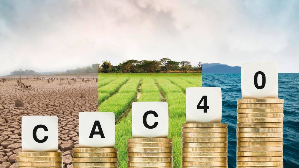 Stress-test biodiversité : le CAC 40 à l’épreuve de la crise écologique