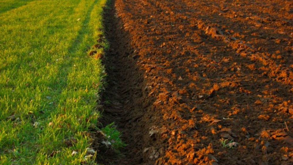 Marché des matières premières agricoles : peut-on établir une frontière entre spéculation et couverture ?