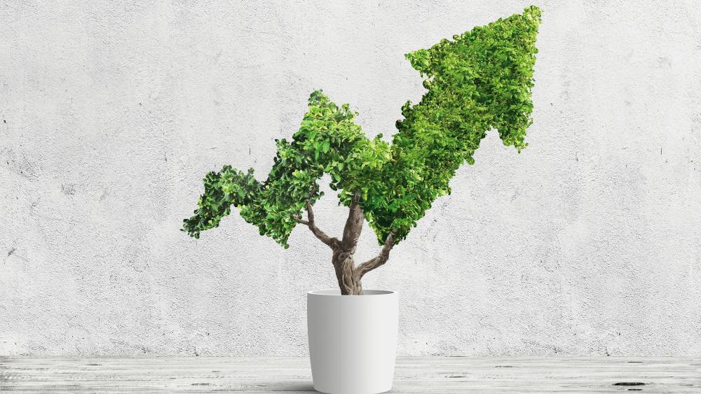 Finance durable : la fin des illusions, pas de l’ESG