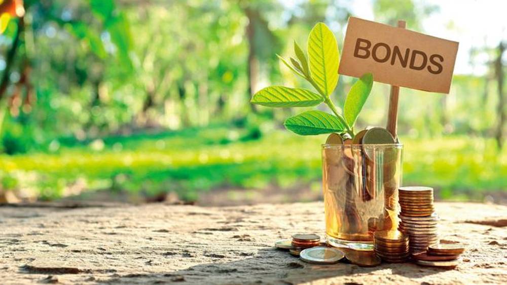 Belle année en perspective pour les green bonds