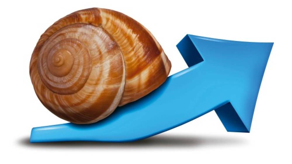 Gestion d'actifs : « Slow investing »