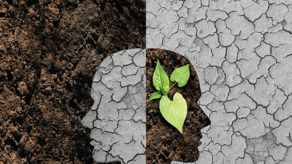 Relation client&nbsp;: entre désertification physique et atrophie émotionnelle