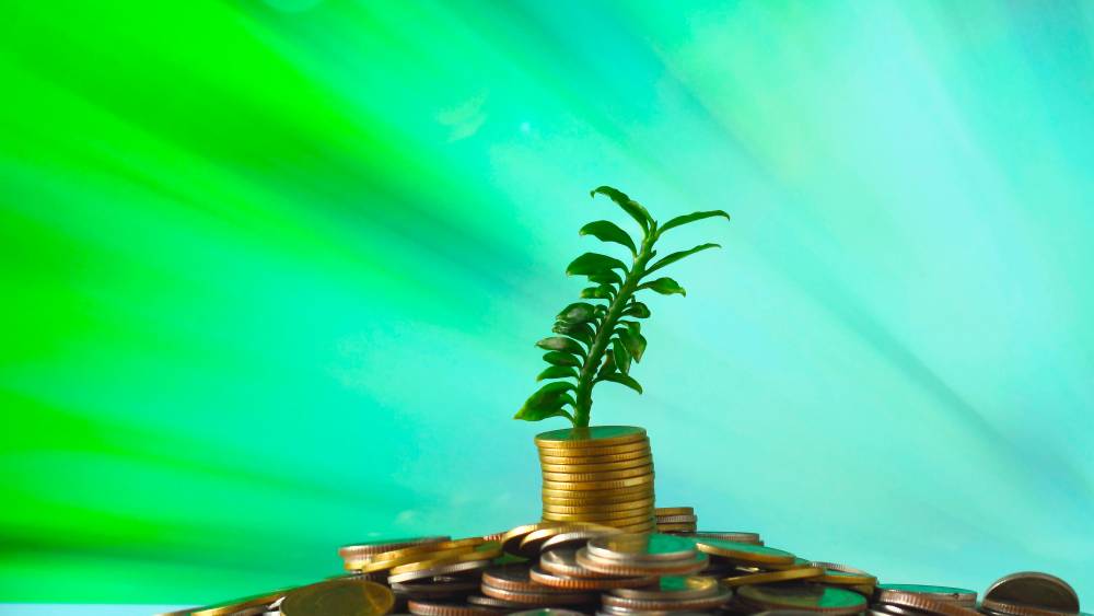BPCE inaugure son premier European Green Bond