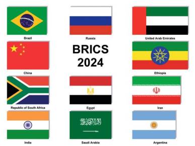 Les BRICS+, un groupe plus hétérogène que les BRICS