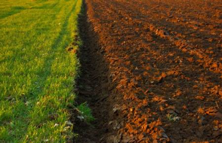Marché des matières premières agricoles : peut-on établir une frontière entre spéculation et couverture ?