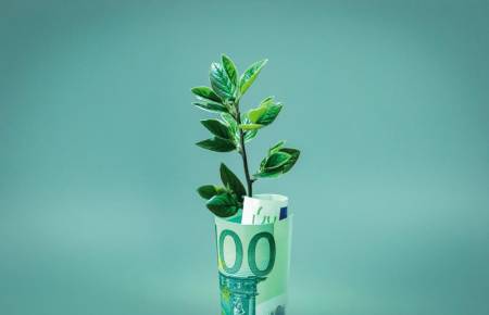 La finance verte est-elle une arnaque?