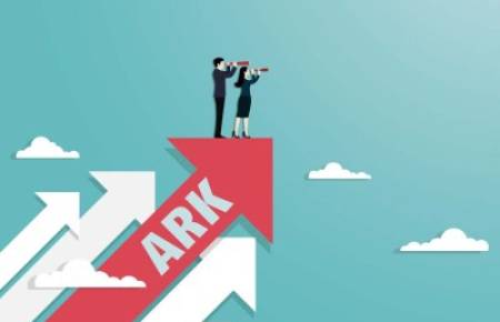 Le phénomène ARK : un succès durable ?