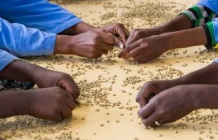 Afrique de l’Ouest : les PME agroalimentaires confrontées à l’absence de financement court terme