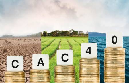 Stress-test biodiversité : le CAC 40 à l’épreuve de la crise écologique