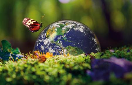 Climat, nature, biodiversité : les banques face au nouveau cap prudentiel de la BCE