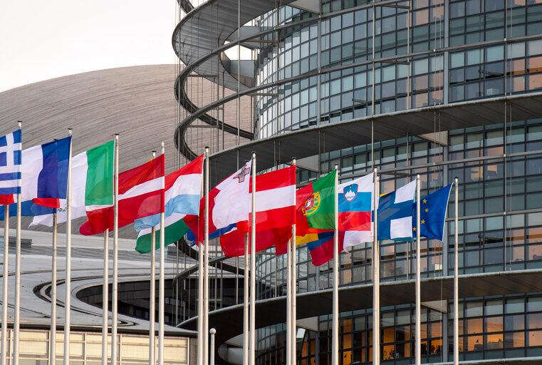 Pacte vert : le Parlement européen adopte plusieurs textes essentiels
