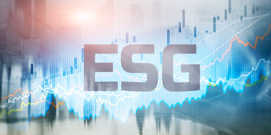 À quoi devrait ressembler une gouvernance ESG appropriée au sein d’un établissement financier ?