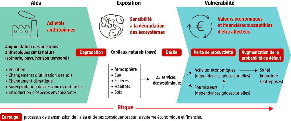 $!Stress-test biodiversité : le CAC 40 à l’épreuve de la crise écologique